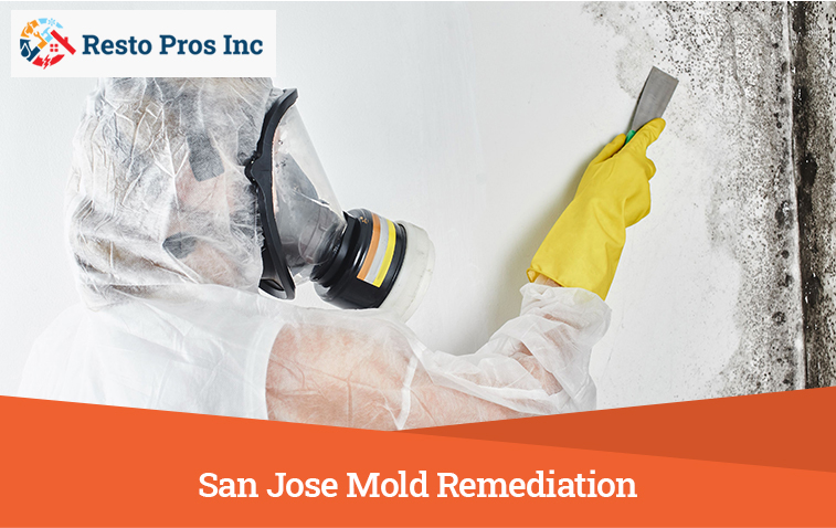 San Jose Mold Remediation