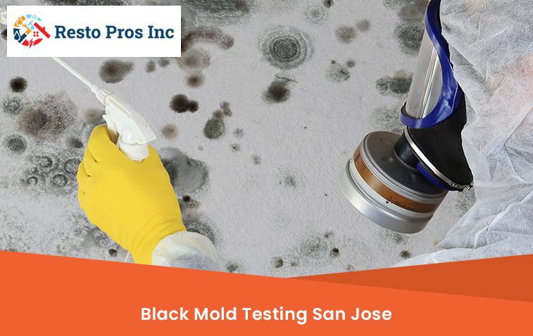 Black Mold Testing San Jose