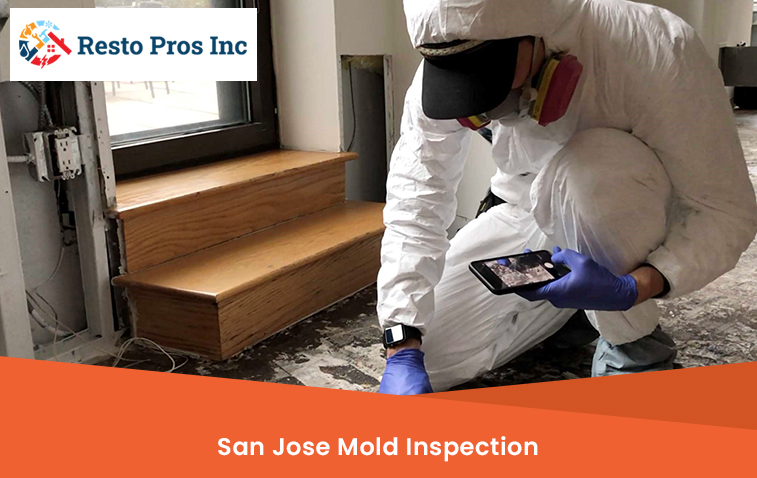 San Jose Mold Inspection
